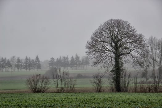 Countryside in Normandy