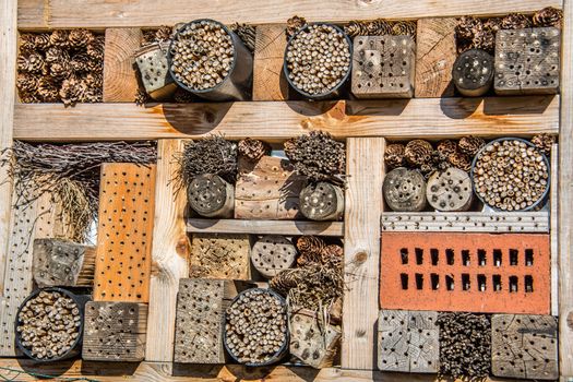 wooden insect hotel for brood care