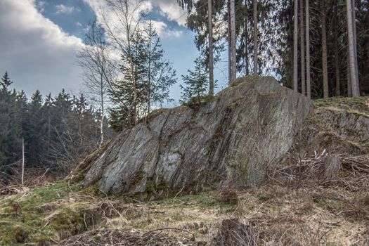 Edge of the forest with huge rocks