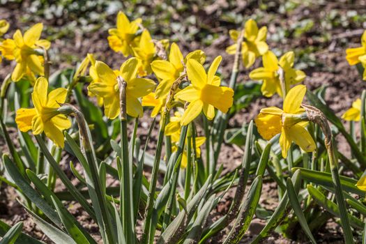 Easter bells in spring in the park