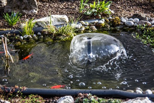 Goldfish pond with fish and water fountain