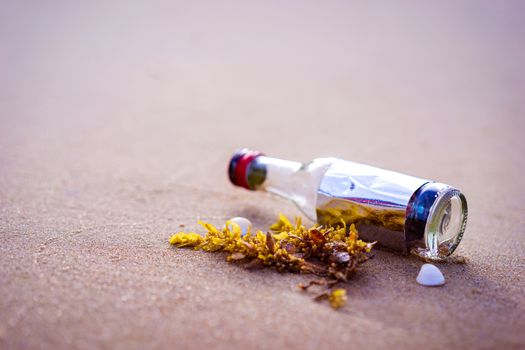 bottle on a sandy beach in the morning