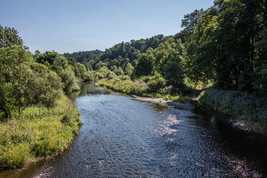 River course with a forested bank