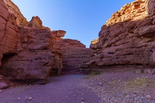 View of the Red Canyon (desert valley carved in red rocks)). Eilat Mountains, southern Israel