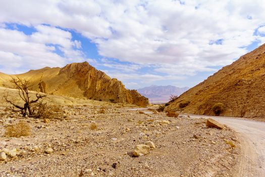 View of Nahal Amram (desert valley) and the Arava desert landscape, Southern Israel