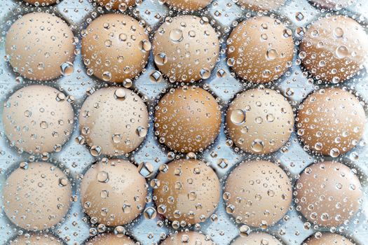 Water drop, droplet, raindrop of egg background