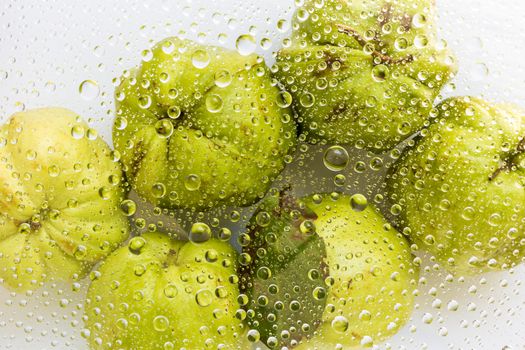 Water drop, droplet, raindrop of guava background
