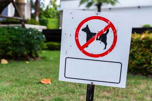 Blank no pet sign at park.