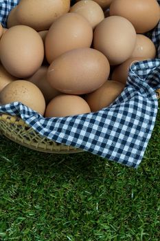 Basket contains group of chicken eggs put on grass.