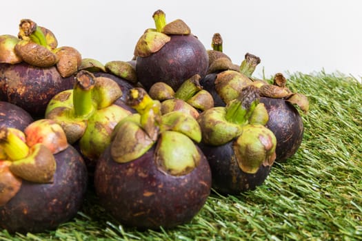 Mangosteen on Green Grass Background : Tropical Fruit from Thailand