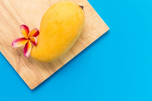 Ripe and yellow Thai mango on blue background.