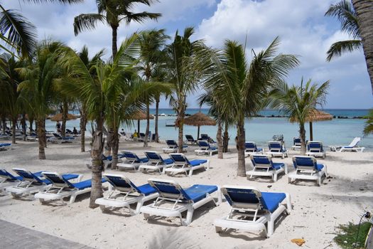 Aruba, Renaissance Island, Caribbean Sea. Sunny beach with white sand, coconut palm trees and turquoise sea. Summer vacation, tropical beach and pink flamingos