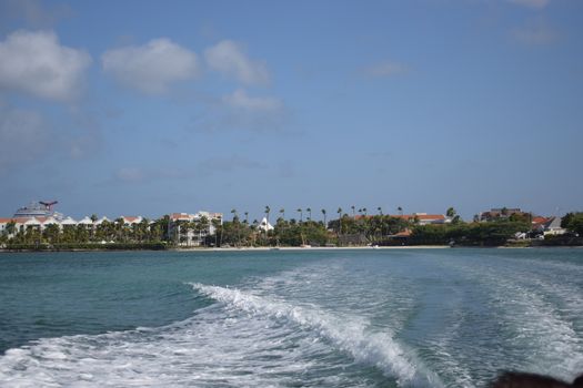 Aruba, Renaissance Island, Caribbean Sea. Sunny beach with white sand, coconut palm trees and turquoise sea. Summer vacation, tropical beach and pink flamingos