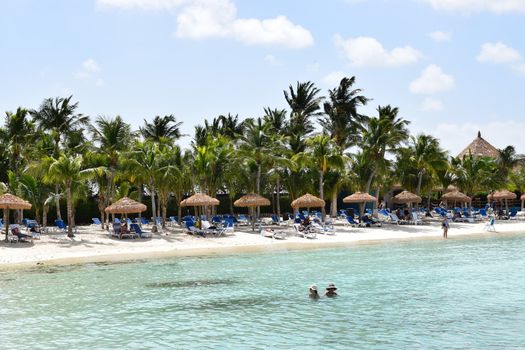 Aruba, Renaissance Island, Caribbean Sea. Sunny beach with white sand, coconut palm trees and turquoise sea. Summer vacation, tropical beach and pink flamingos