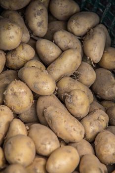 fresh harvest potatoes in basket