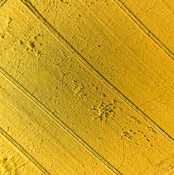 Aerial picture, golden field after harvest, as a background and texture, abstract, flight with a drone