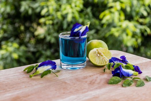 Butterfly Pea Flower juice  on  natural wooden table