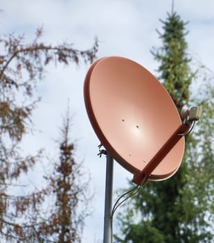 Brown satellite dish in a forest