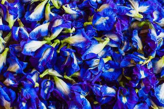 fresh butterfly pea flower in bamboo tray