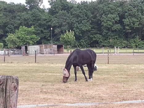 Lunteren, Netherlands - June 6, 2017 - The village of Lunteren in County Ede in the Netherlands