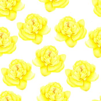 Peony on white background. Seamless pattern. Watercolor painting of Beautiful flowers. Floral illustration. Romantic yellow roses.