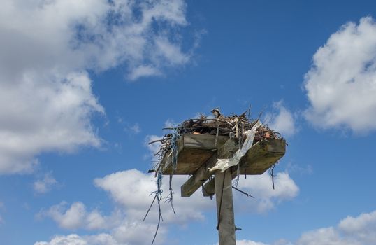  A wooden box is mounted high on a concrete pillar especially for eagles protecting farm fields from pests