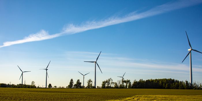 Wind turbine groups installed in open and leeward areas