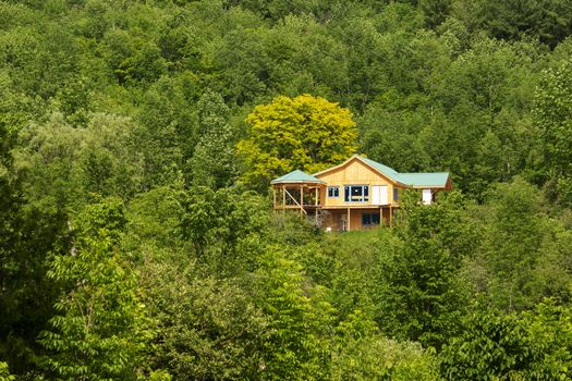 Wooden house under construction in a forest surrounded by deciduous trees