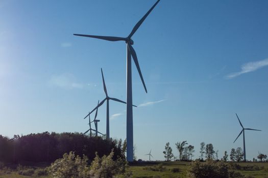 Wind turbine groups installed in open and leeward areas