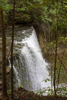 

Among the trees in the forest on a small mountain river there are several waterfalls