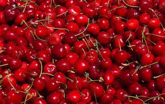 Ripe Cherries