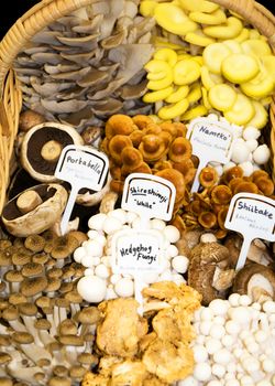 A variety of mushrooms and other fungi in a basket