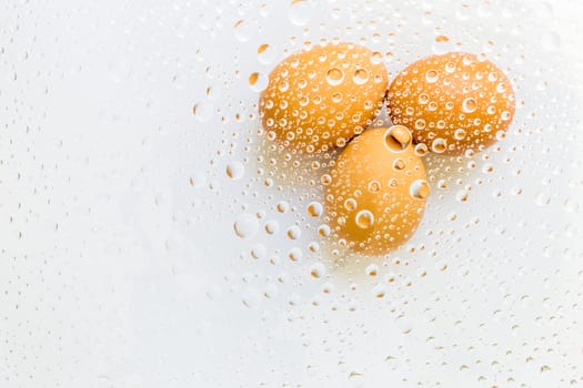 Water drop, droplet, raindrop of egg background