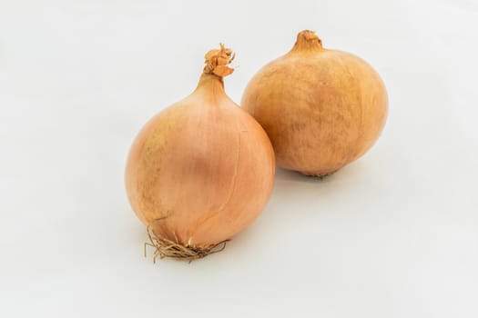 Onion isolated on white background.