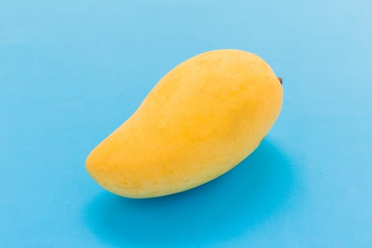 Ripe and yellow Thai mango on blue background.