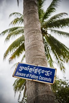 Metallic Sign board indicating a risk of falling Coconuts in English and Cambodian (Beware of falling Coconuts), Cambodia, Asia