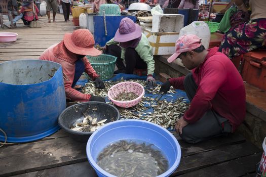 Krong Kaeb, Kep Province, Cambodia, 31 March 2018. Cambodians sorting fishes at the crab market
