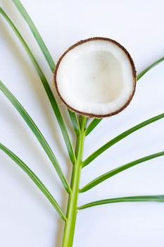 Coconut with leaves on white background.