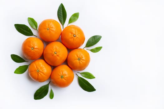 Mandarin Orange. White Background