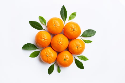Mandarin Orange. White Background