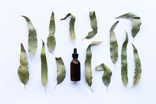 Eucalyptus essential oil bottle with dry leaves on white background.