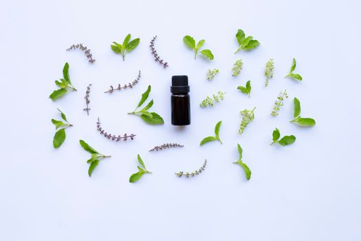 Holy basil essential oil in a glass bottle with fresh holy basil leaves and flower