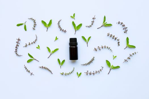 Holy basil essential oil in a glass bottle with fresh holy basil leaves and flower