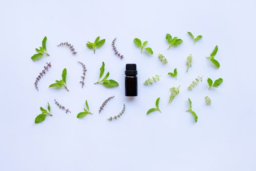 Holy basil essential oil in a glass bottle with fresh holy basil leaves and flower