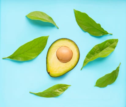 Avocado with leaves on blue background. Top view