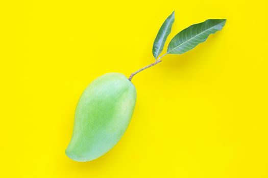 Top view of fresh green mango, Tropical fruit on yellow background. Copy space