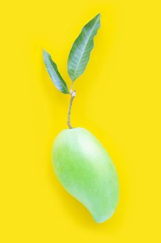 Top view of fresh green mango, Tropical fruit on yellow background. Top view