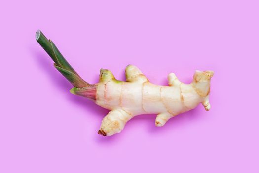 Fresh young ginger on pink background. Top view