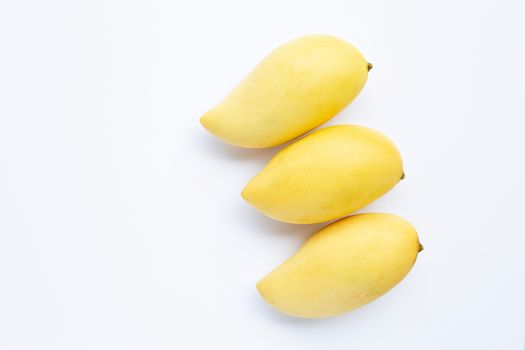 Top view of yellow mango, Tropical fruit  juicy and sweet. Copy space
