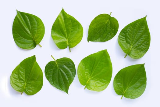 Green betel leaves, Fresh piper betle on white background. Top view